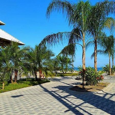 Uw Oasis Hotel La Ceiba Bagian luar foto